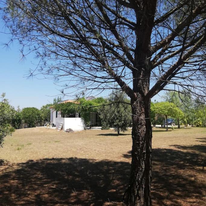Villa del glicine Muro Leccese Esterno foto