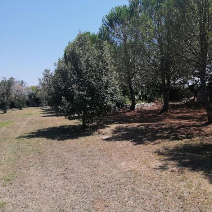 Villa del glicine Muro Leccese Esterno foto